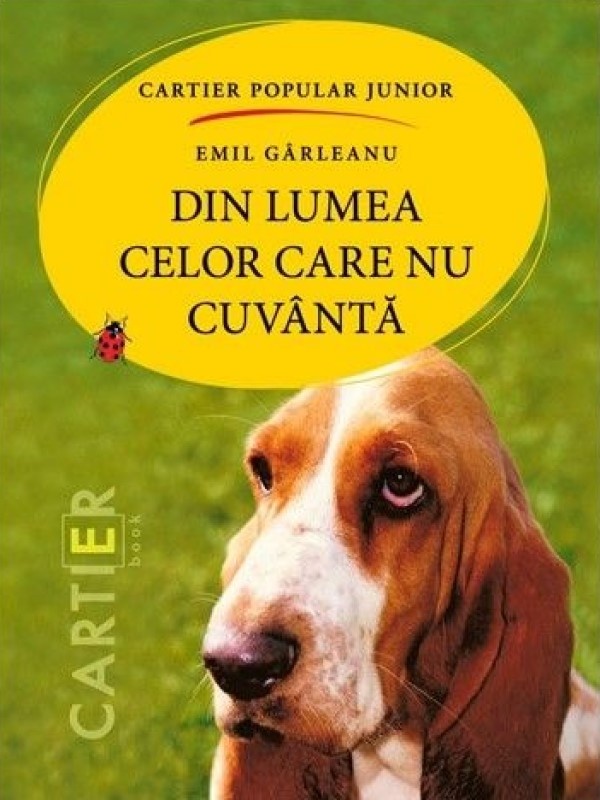 Книга Din lumea celor care nu cuvanta (9789975864916)
