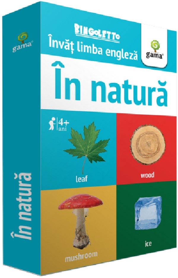 Книга Bingoletto. Invat limba engleza. In natura 4+ (9789731497730)