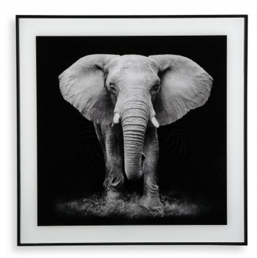 Pictură Versa Elephant 20231401