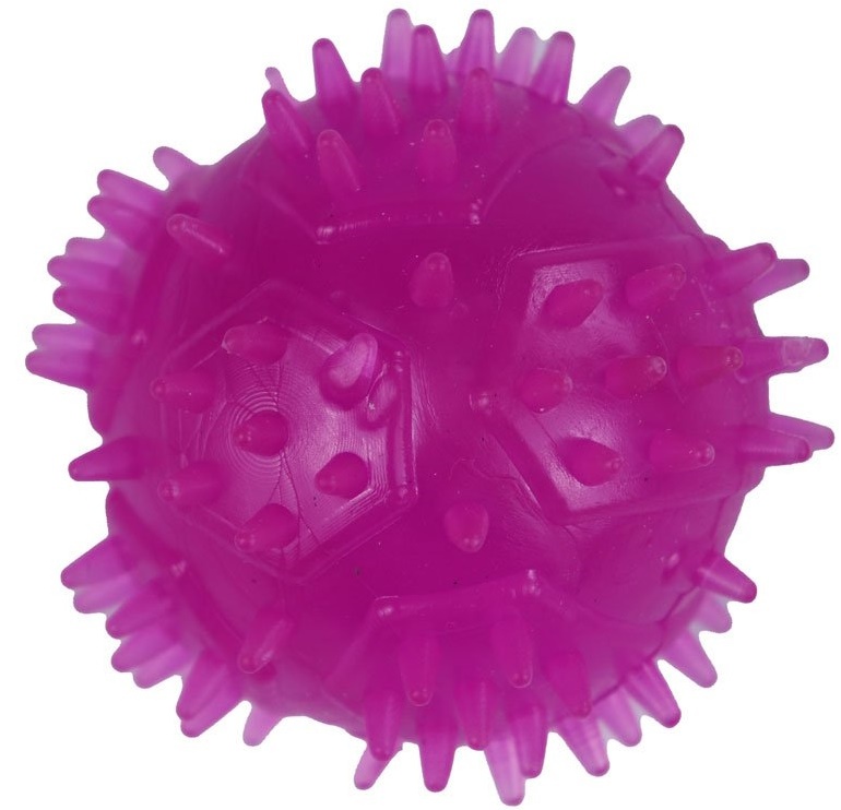 Игрушка для собак Agility PI0105 6.5cm Violet