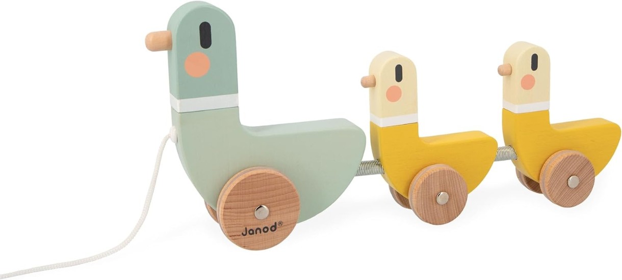 Игрушка каталка Janod J04051