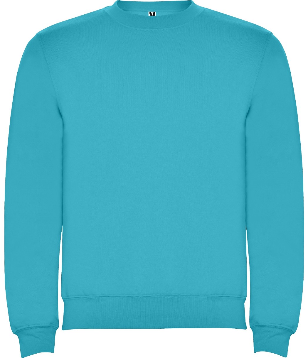 Мужская толстовка Roly Clasica 1070 Turquoise, s.M