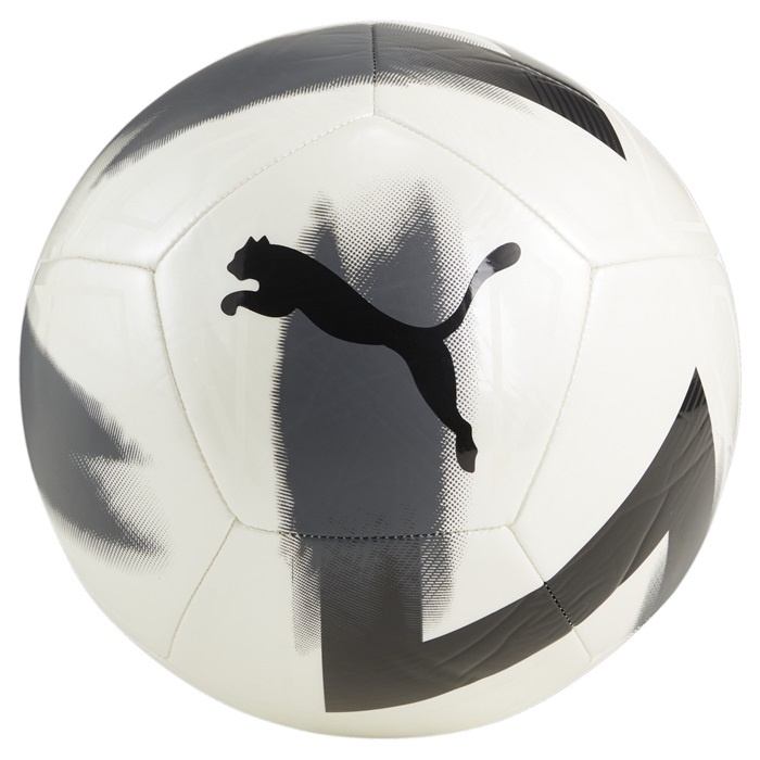 Minge de fotbal Puma Cage Ball Puma White/Black/Silver, s.5