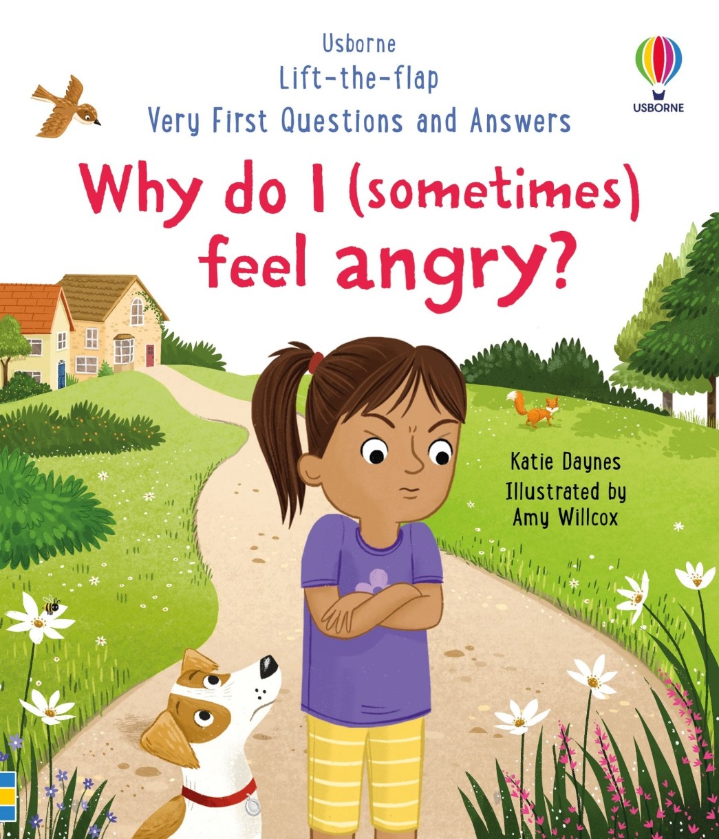 Книга Why do I (sometimes) feel angry? (9781801313155)