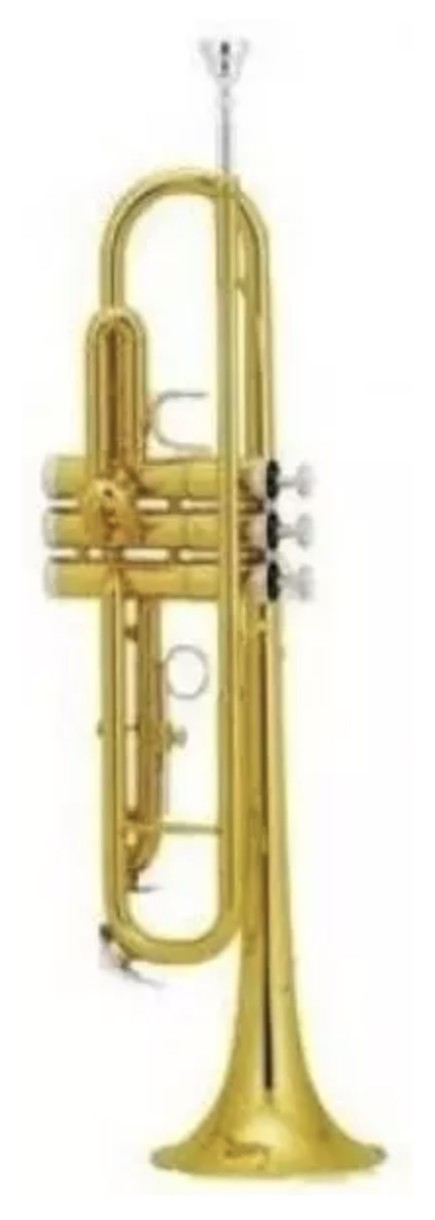Trompete Parrot 6416L-1