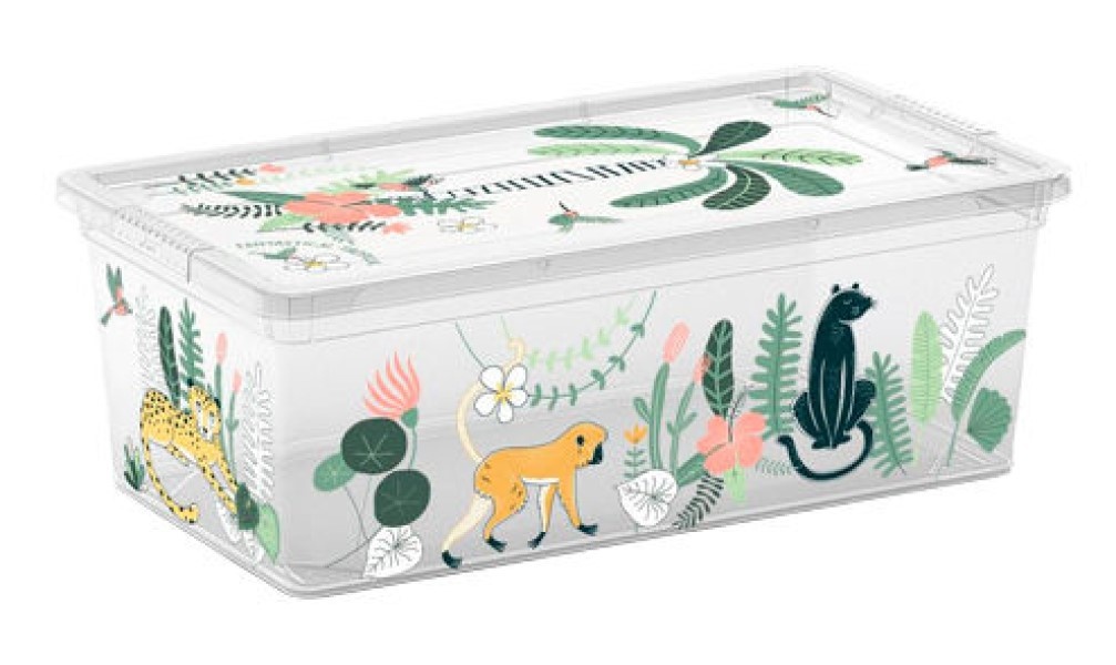 Container depozitare Kis C-box Tropical XS 6L (38590)