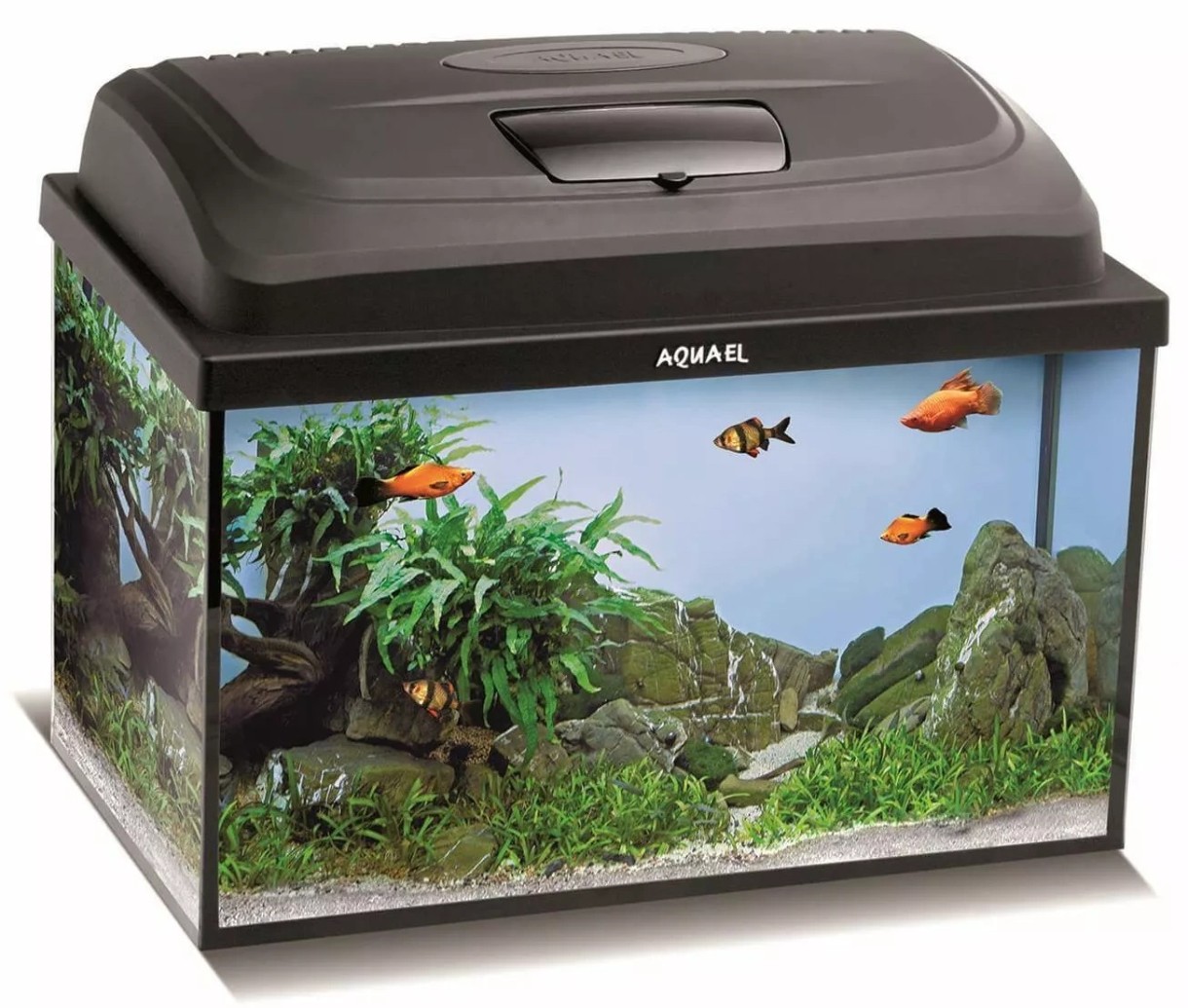 Аквариум Aquael Classic Box 60 PAP 124276/114809