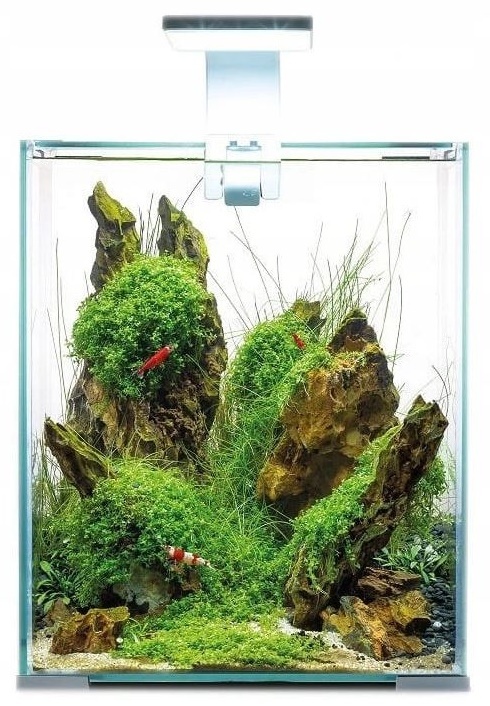 Аквариум Aquael Shrimp Set Smart D&N 30L (122981)
