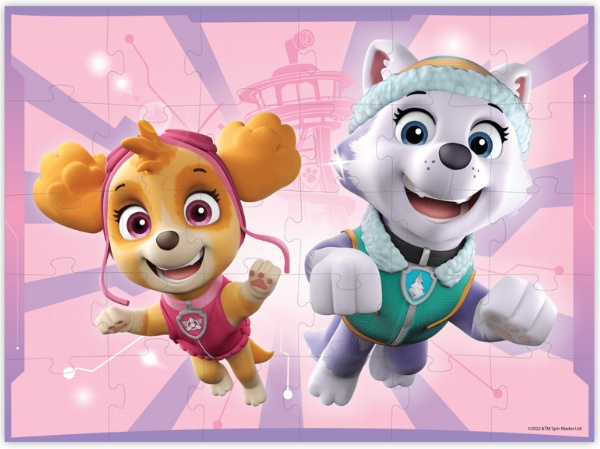 Пазл Dodo 30 Paw Patrol (200144)