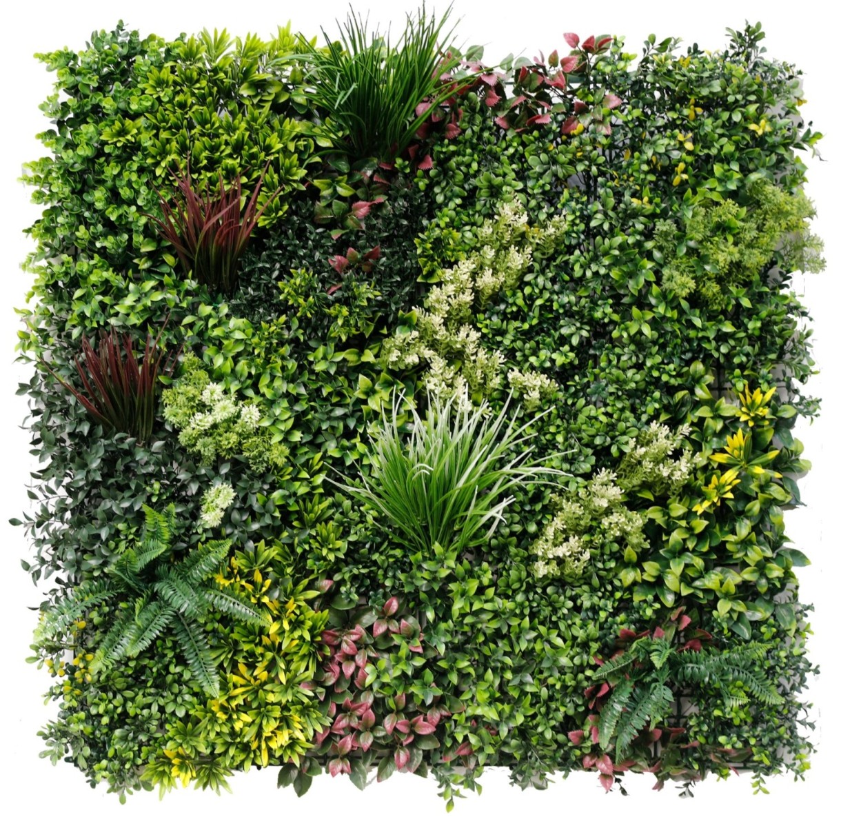 Искусственная изгородь Tenax Greenery-B 100x100cm (18184)