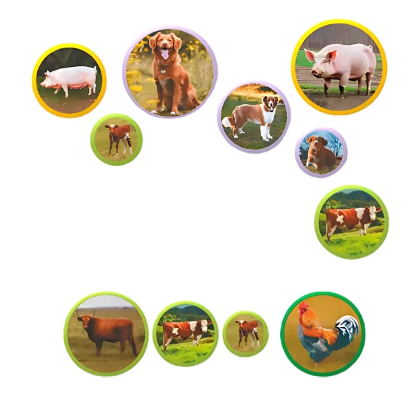 Развивающий набор Dodo Montessori Animal Families: Farm (200271)