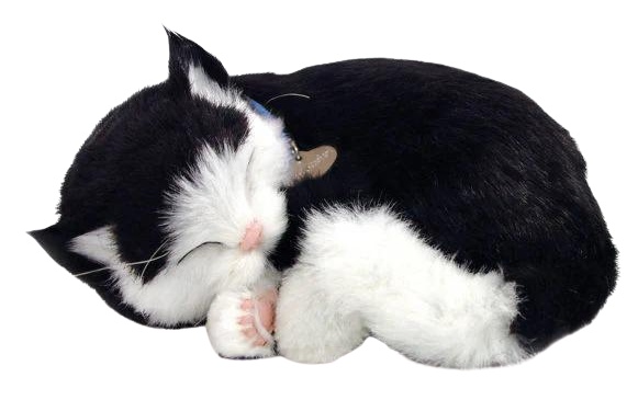 Jucarii interactive Perfect Petzzz Black & White Short Haired Cat 92-06