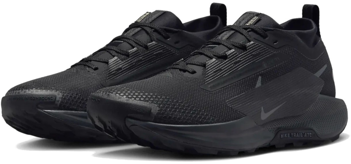 Adidași pentru bărbați Nike Pegasus Trail 5 Gtx Black/Anthracite, s.42.5