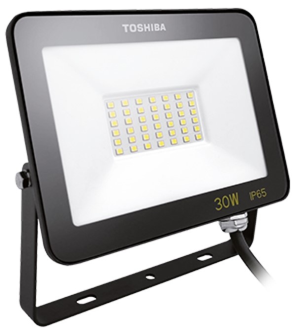Proiector Toshiba IP65 30W 6500K Black 00172836