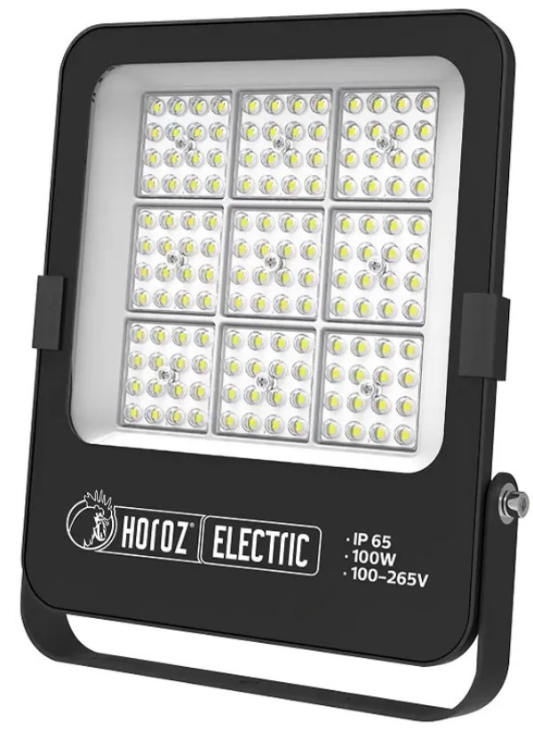 Proiector Horoz Borneo-100 (0680330100010)
