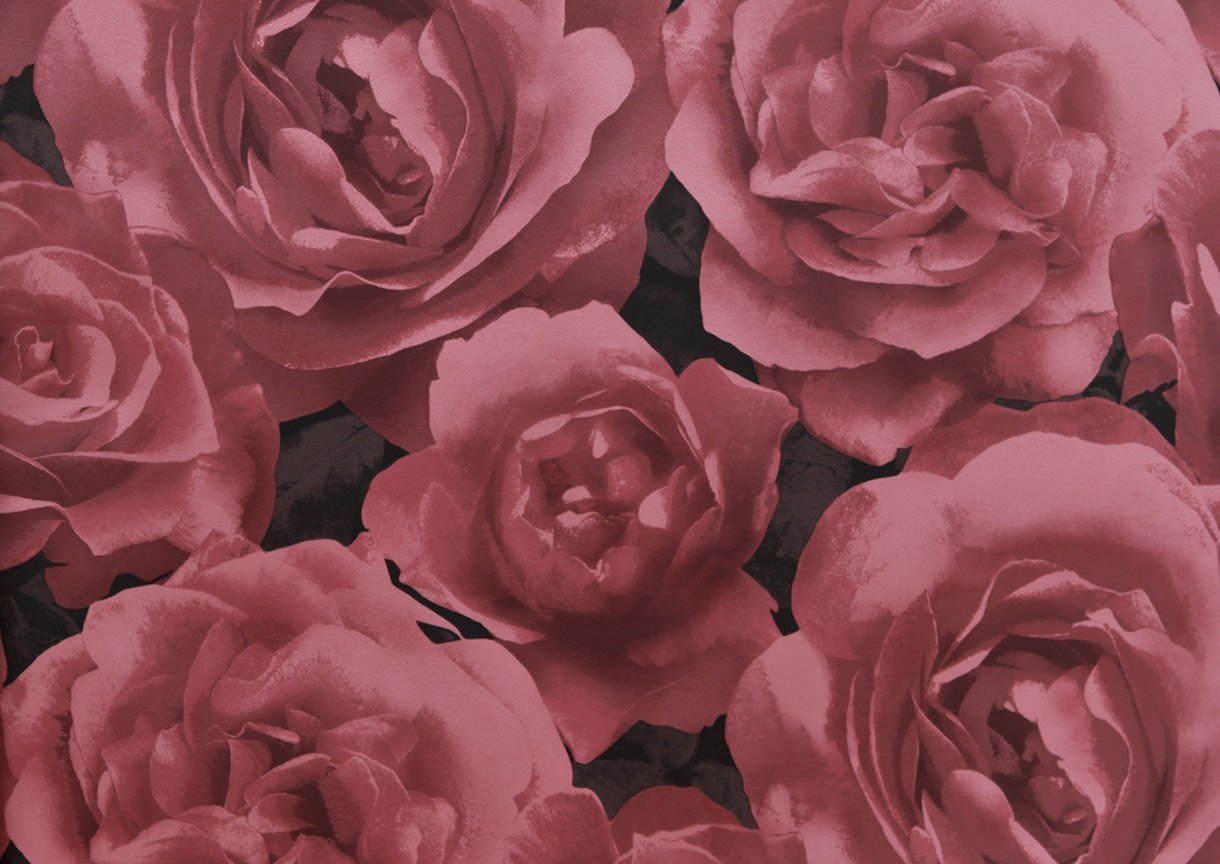 Tapete GranDeco Photographic Rose 923021
