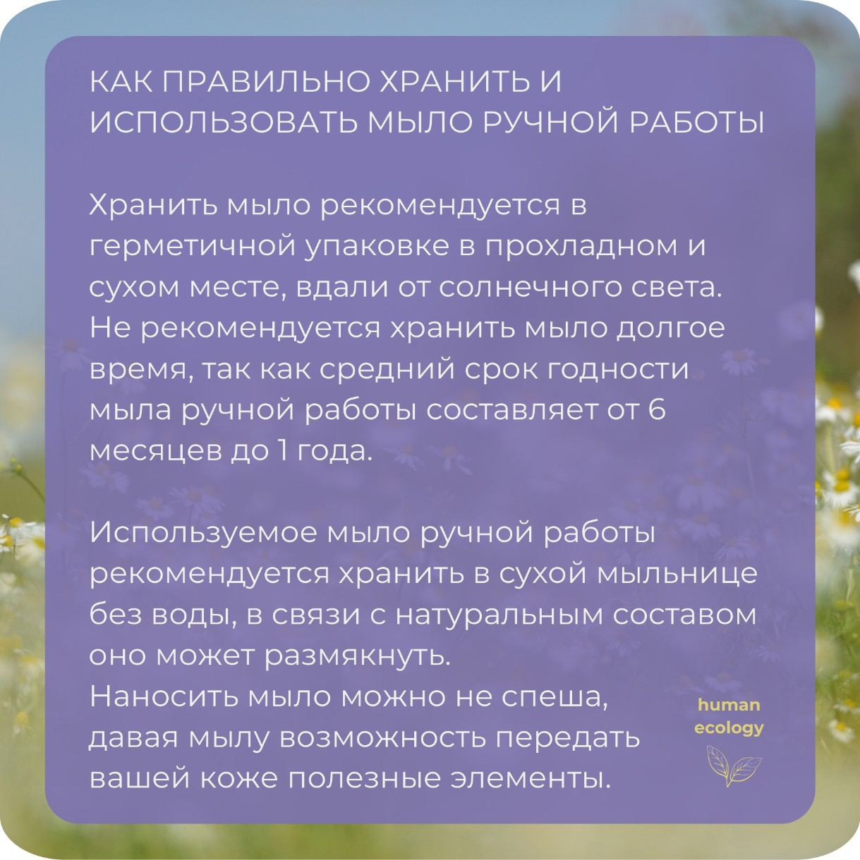 Мыло ручной работы Human Ecology Chamomile/Fir SBC152643