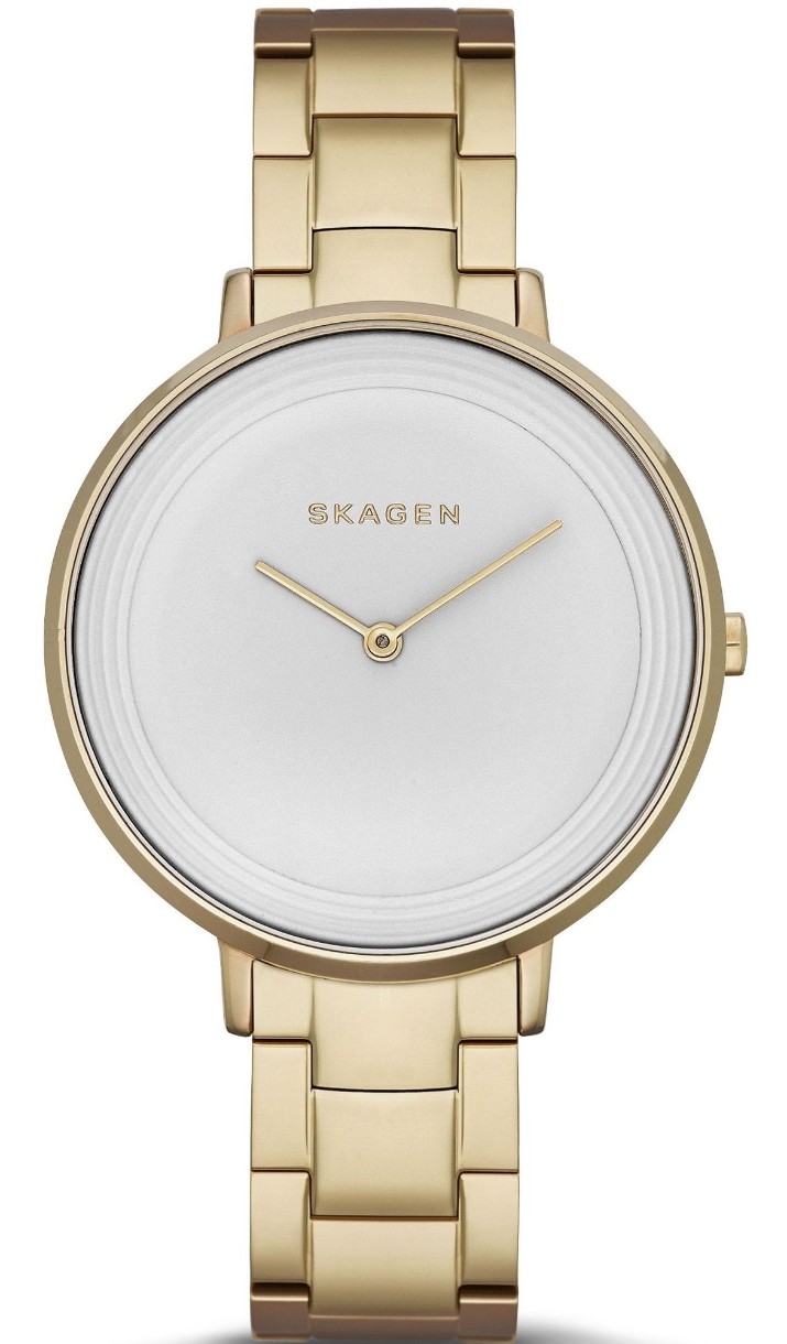 Наручные часы Skagen SKW2330