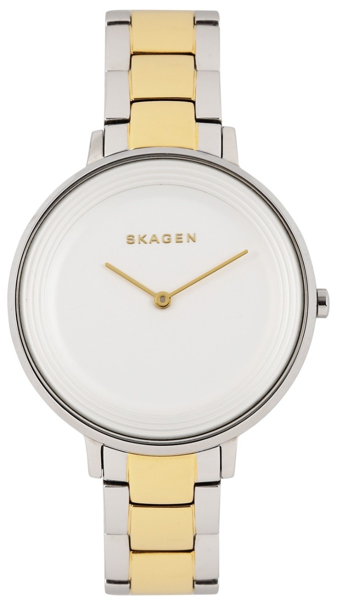 Наручные часы Skagen SKW2339