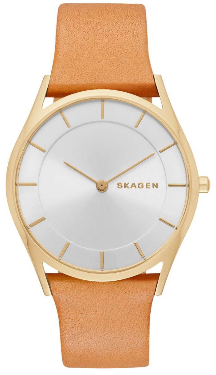 Наручные часы Skagen SKW2344