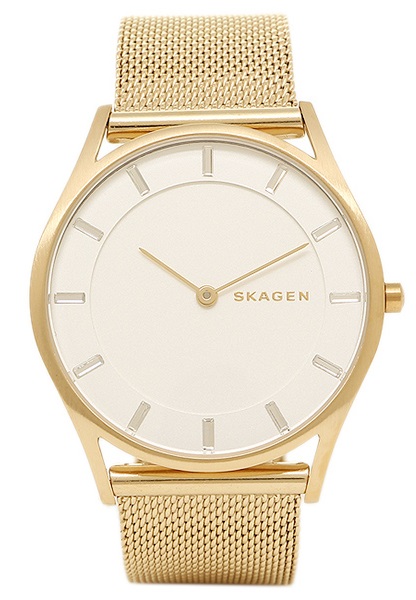 Наручные часы Skagen SKW2377