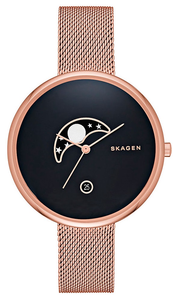 Наручные часы Skagen SKW2371