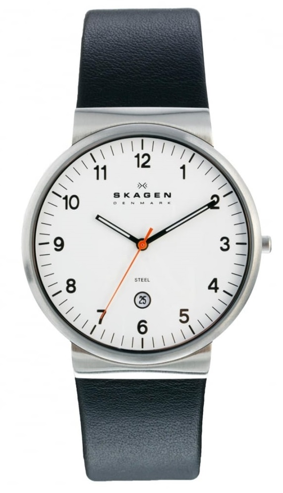 Наручные часы Skagen SKW6024