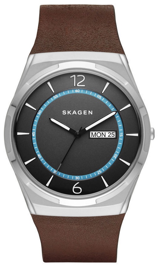 Наручные часы Skagen SKW6305