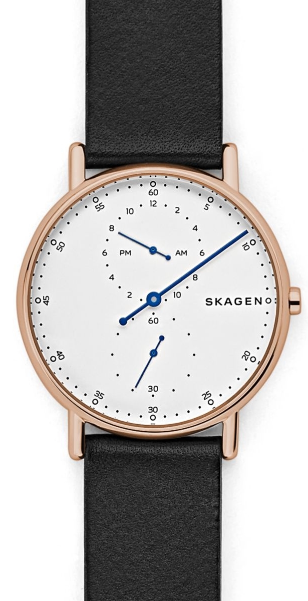 Наручные часы Skagen SKW6390