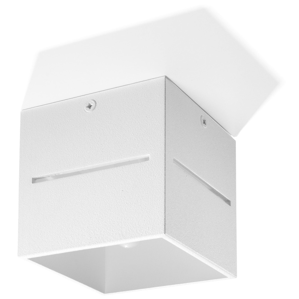 Spot Sollux SLX0209 Lobo White