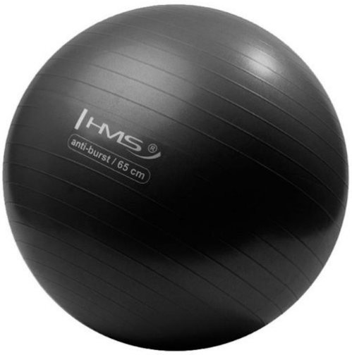 Mingea fitness HMS YB02 65cm Black