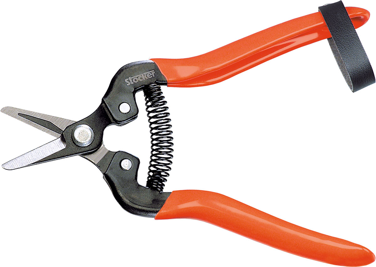 Foarfecă de gradină (secatore) Stocker 374