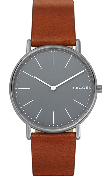 Наручные часы Skagen SKW6429