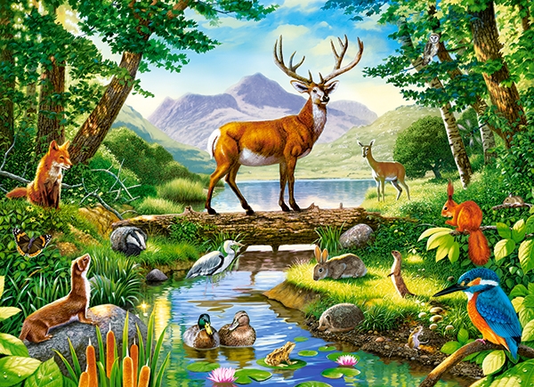 Пазл Castorland 300 Woodland Harmony (B-030408)