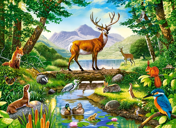 Puzzle Castorland 300 Woodland Harmony (B-030408)