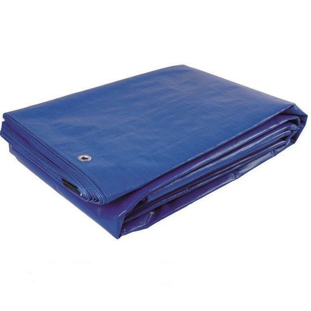Prelată Greentech 80gr (6x10) Blue