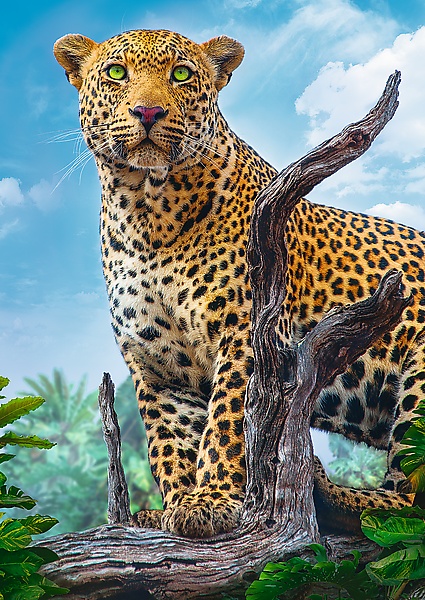 Пазл Trefl 500 Wild leopard (37332)