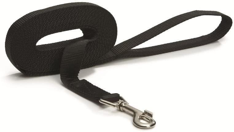 Lesă Beeztees Nylon (745202)