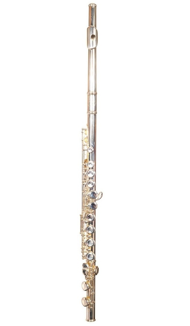 Флейта Parrot 6456 S