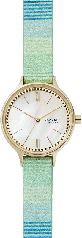 Наручные часы Skagen SKW2905