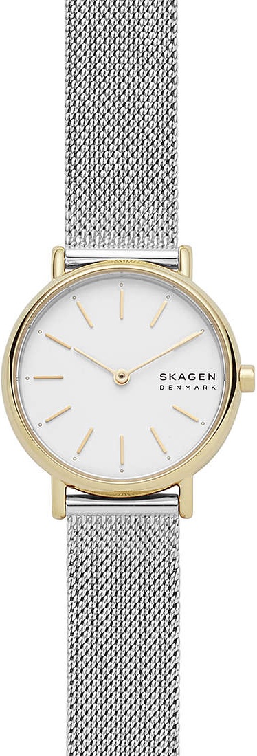 Наручные часы Skagen SKW2910
