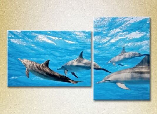 Pictură ArtPoster A flock of dolphins (2603002)