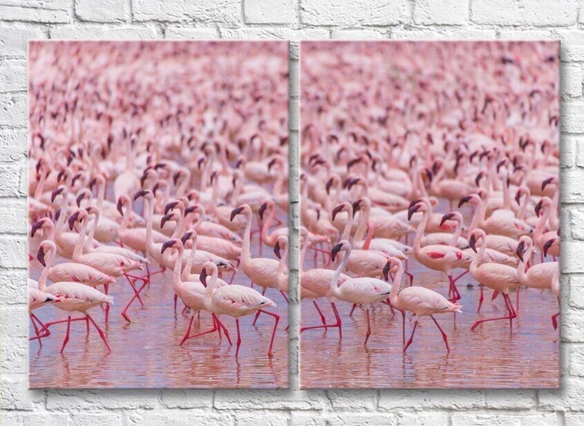 Pictură ArtPoster A huge flock of pink flamingos (3451162)