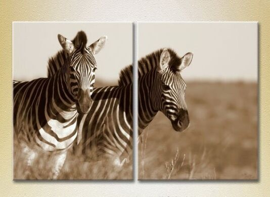 Pictură ArtPoster A pair of zebras sepia 01 (2602986)