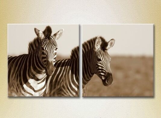 Pictură ArtPoster A pair of zebras sepia 03 (2602985)