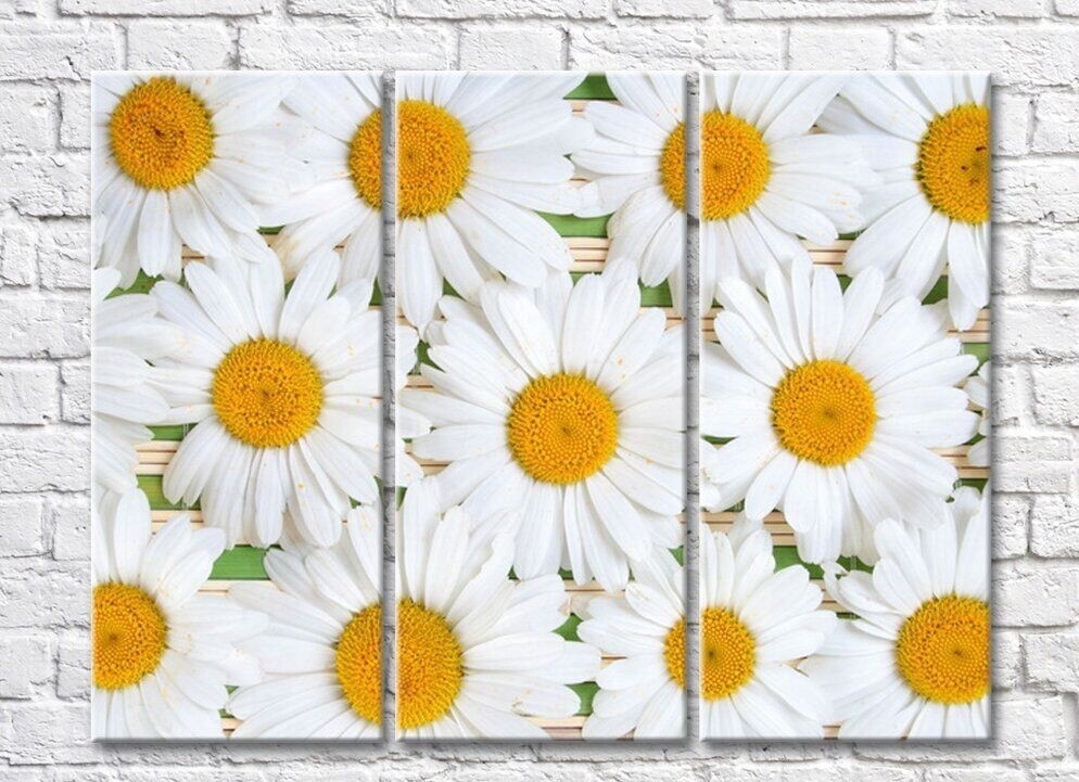Картина ArtPoster Abstract chamomile flowers (500052)