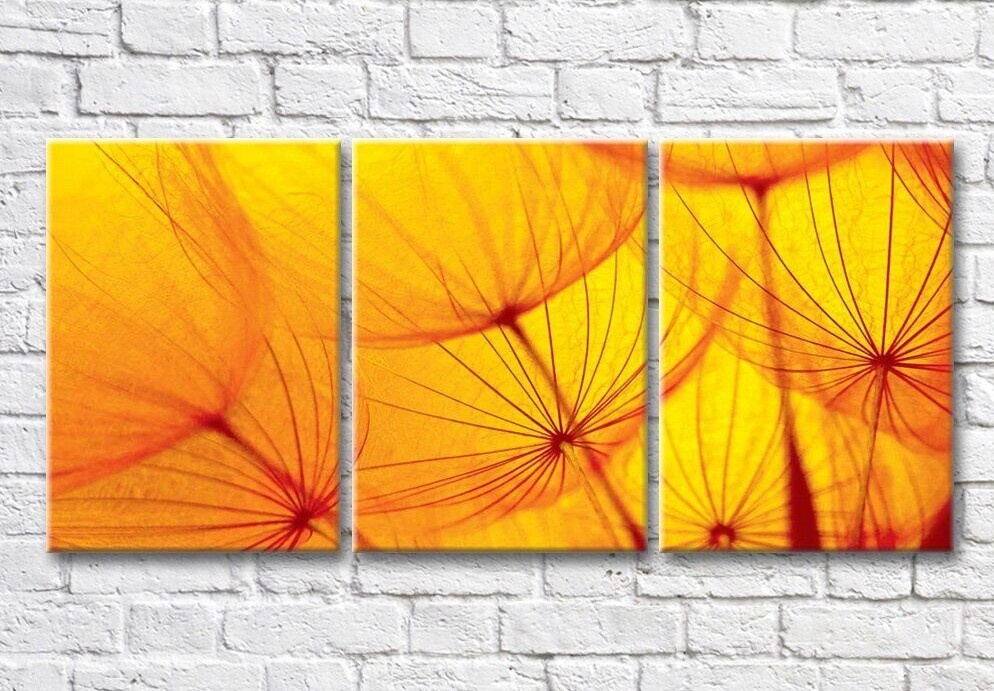 Pictură ArtPoster Abstract dandelion petals on a Yellow background (3565210)