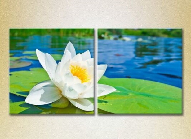 Картина Magic Color Diptych Water Lily (2613782)