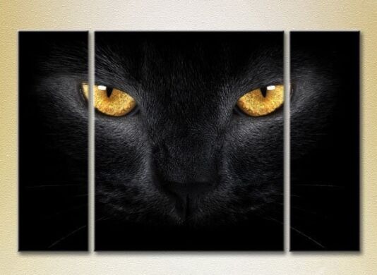 Pictură Magic Color Triptych Black Cat Eyes (2698969)