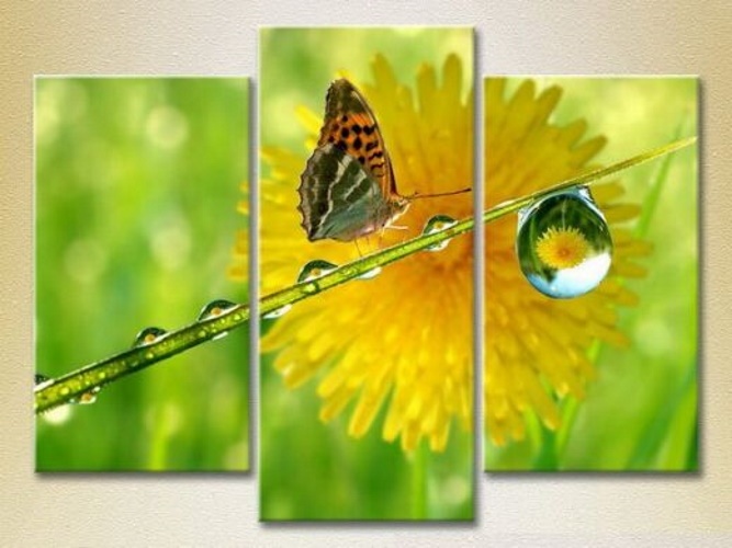 Картина Magic Color Triptych Butterfly and Dew (2698979)